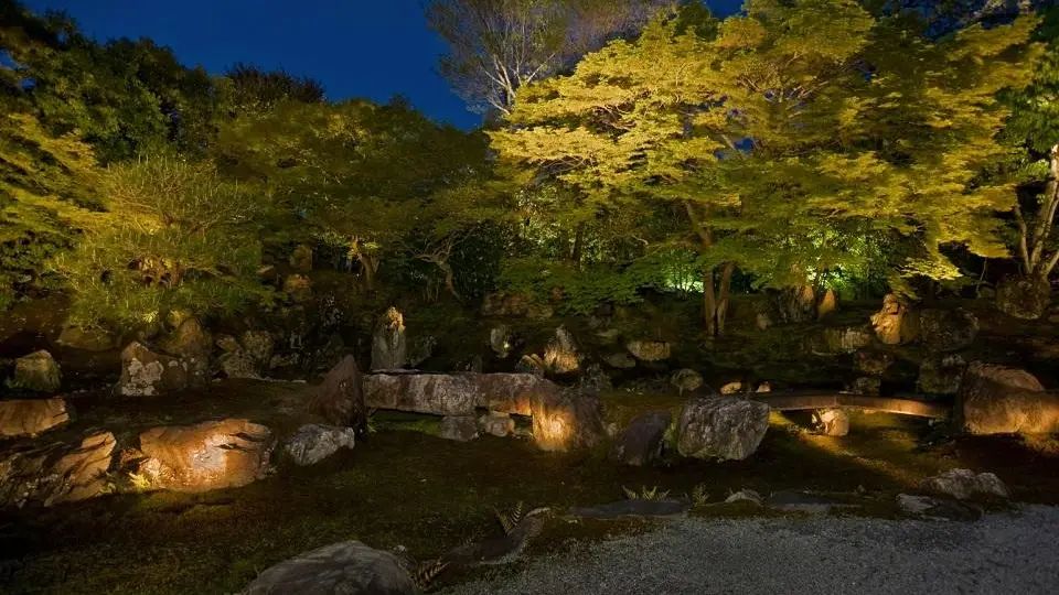 圓徳院特別展と夜間特別拝観