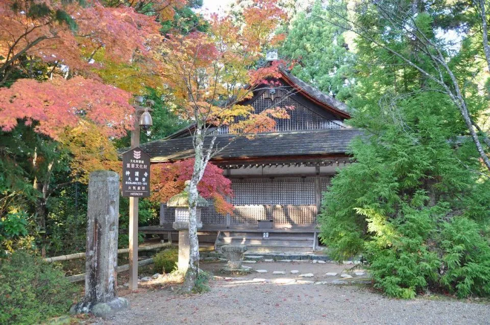 大師堂特別公開【神護寺】