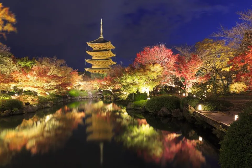 東寺境内ライトアップ　金堂・講堂・立体曼荼羅夜間特別拝観