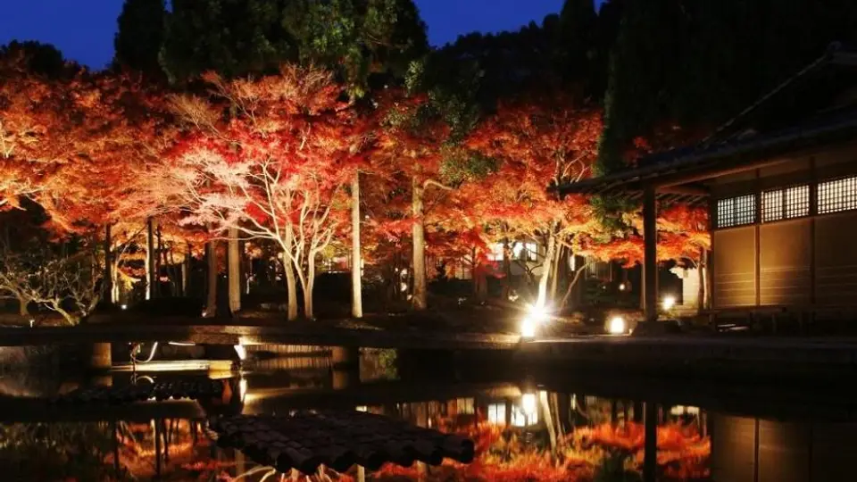 しょうざん庭園 秋の紅葉ライトアップ