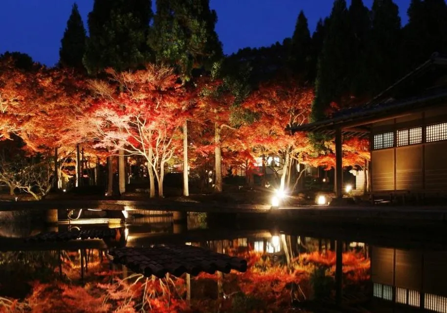 しょうざん庭園　秋の紅葉ライトアップ