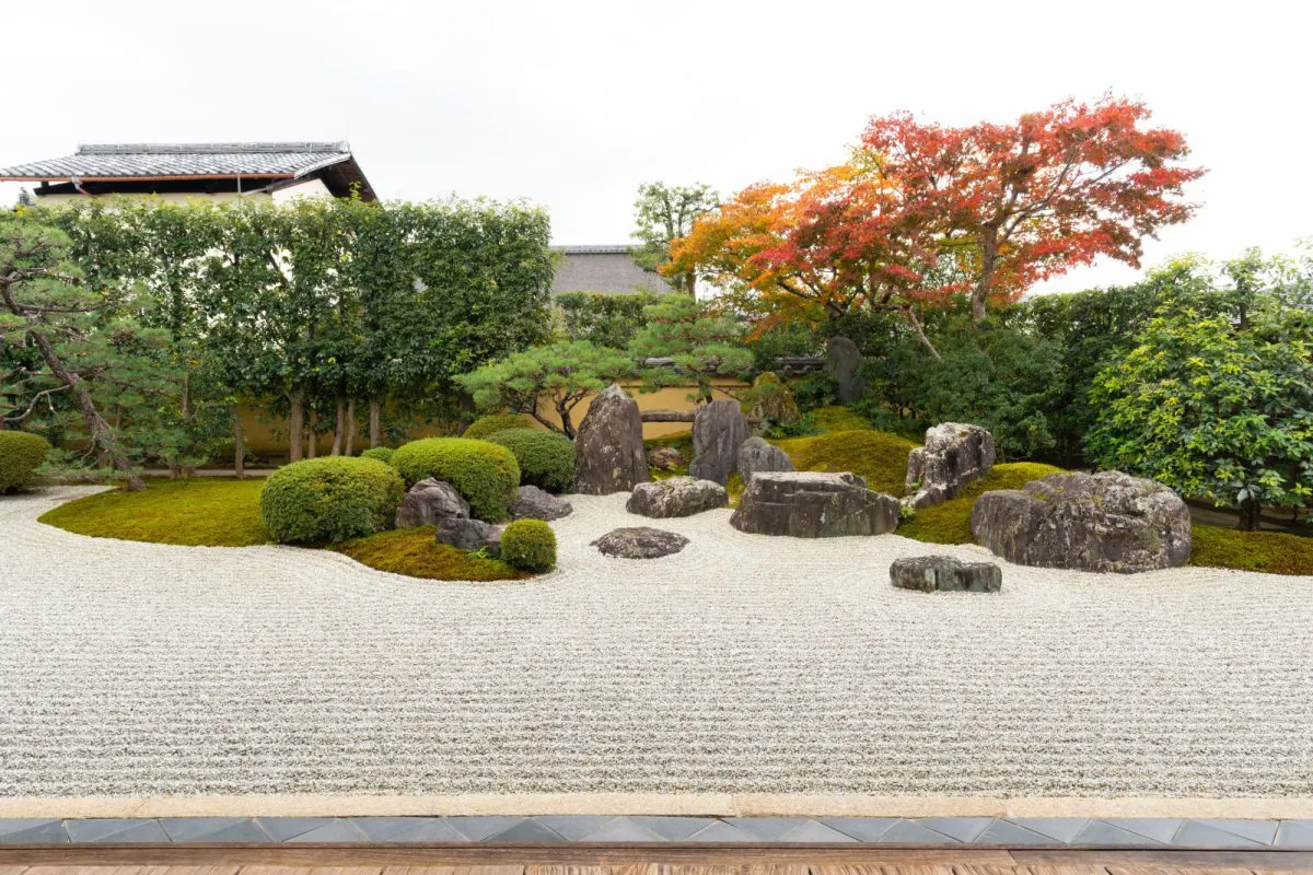 大徳寺 興臨院 秋の特別公開